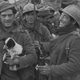 Illustration for article titled The Loyal Dogs Who Served Alongside Human Soldiers In War